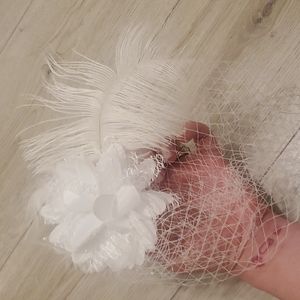 birdcage veil